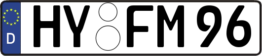 HY-FM96