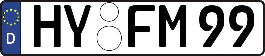 HY-FM99