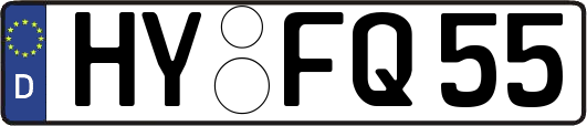 HY-FQ55