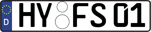 HY-FS01
