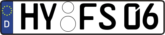 HY-FS06