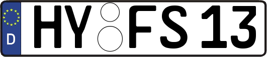HY-FS13