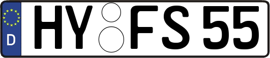 HY-FS55