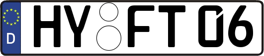 HY-FT06