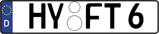 HY-FT6
