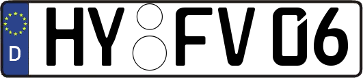 HY-FV06