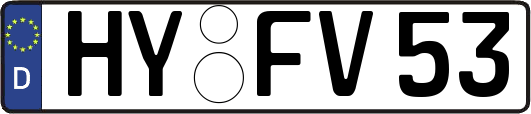 HY-FV53