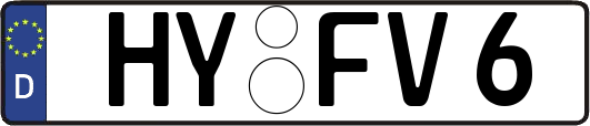 HY-FV6