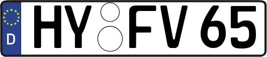 HY-FV65