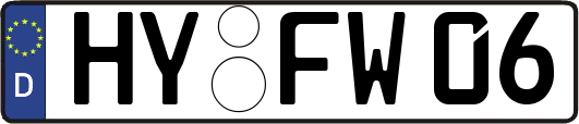 HY-FW06