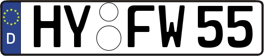 HY-FW55