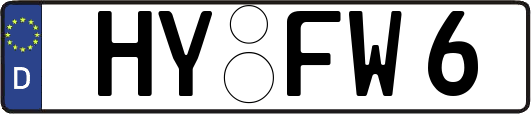 HY-FW6