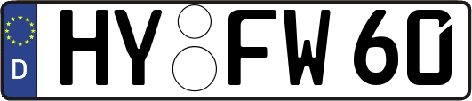 HY-FW60