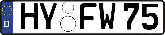HY-FW75