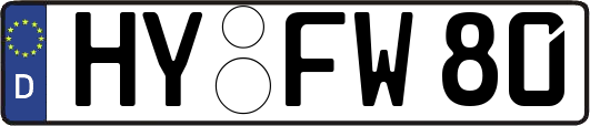 HY-FW80