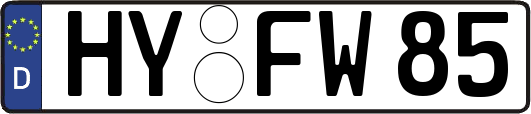 HY-FW85