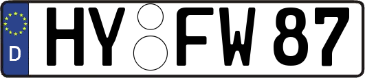 HY-FW87