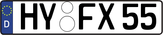 HY-FX55