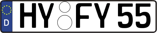HY-FY55