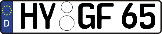 HY-GF65
