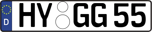 HY-GG55