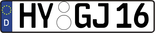HY-GJ16