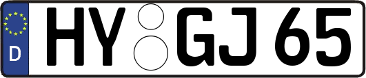 HY-GJ65