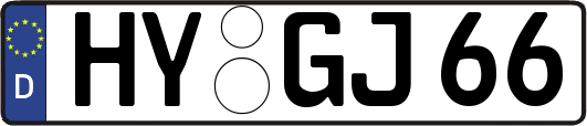 HY-GJ66