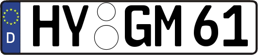 HY-GM61