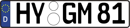 HY-GM81