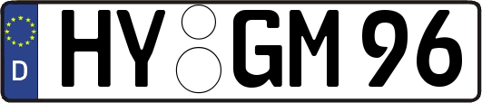HY-GM96