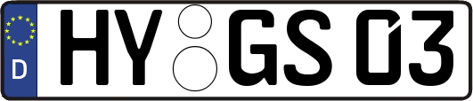 HY-GS03