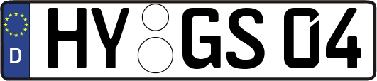 HY-GS04