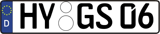 HY-GS06
