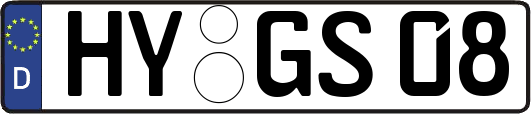 HY-GS08