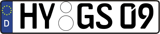 HY-GS09