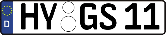 HY-GS11