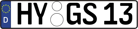 HY-GS13