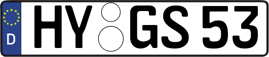 HY-GS53