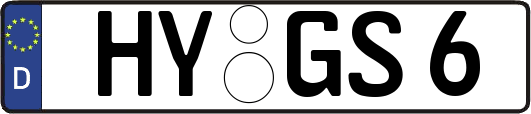 HY-GS6