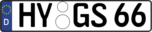HY-GS66