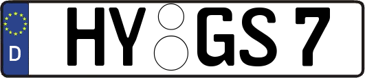 HY-GS7