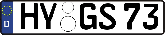 HY-GS73