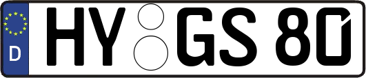 HY-GS80