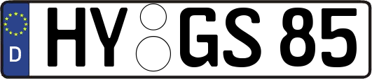 HY-GS85