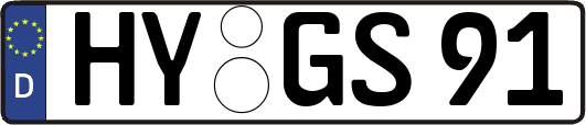 HY-GS91