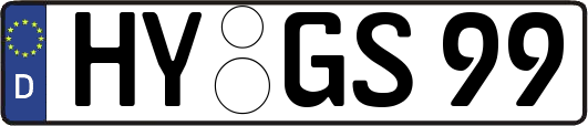 HY-GS99