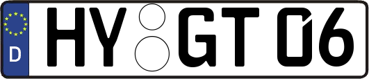 HY-GT06