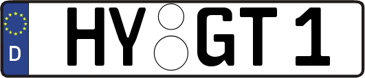 HY-GT1