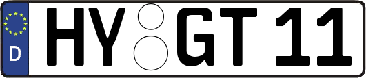 HY-GT11
